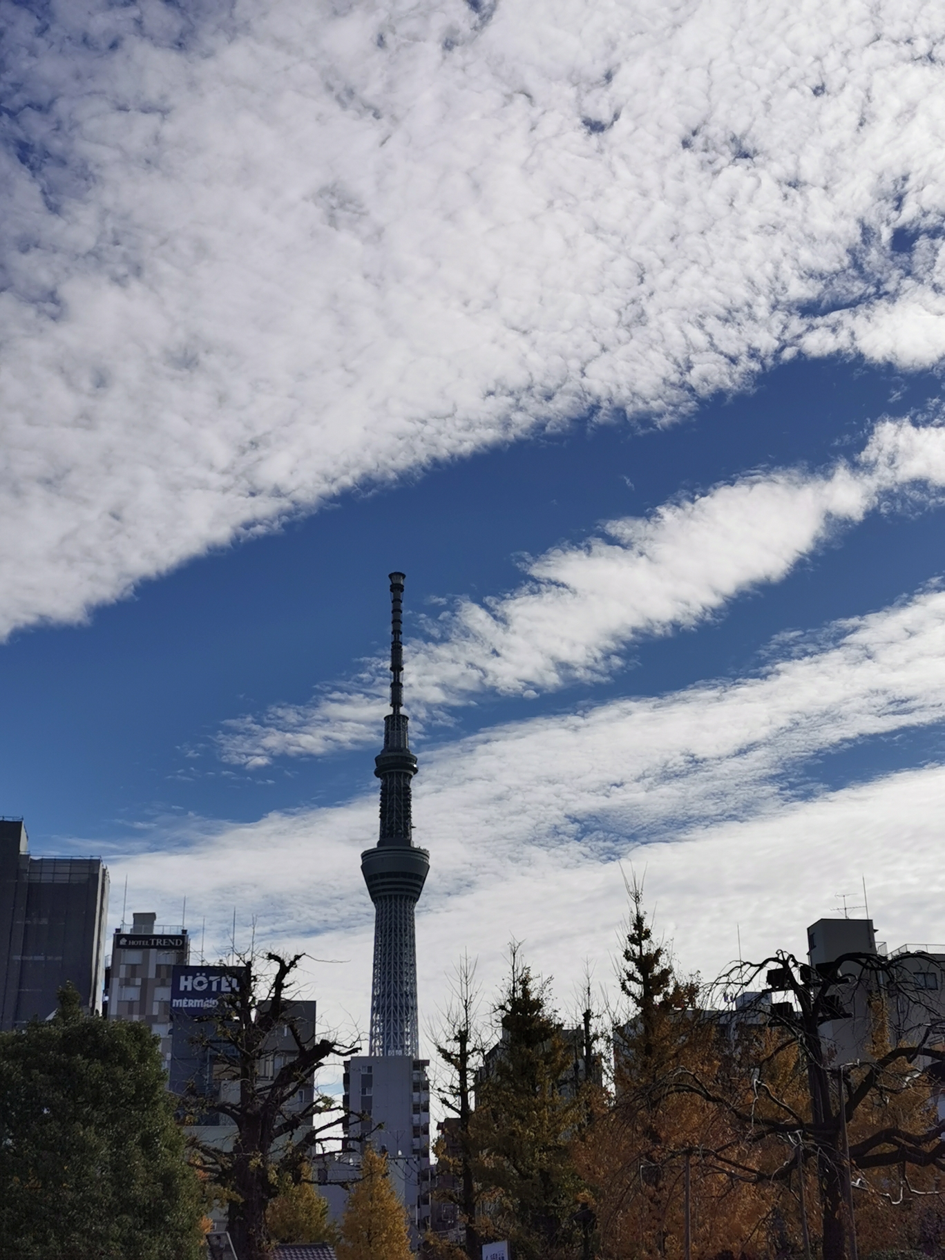 東京自助遊攻略