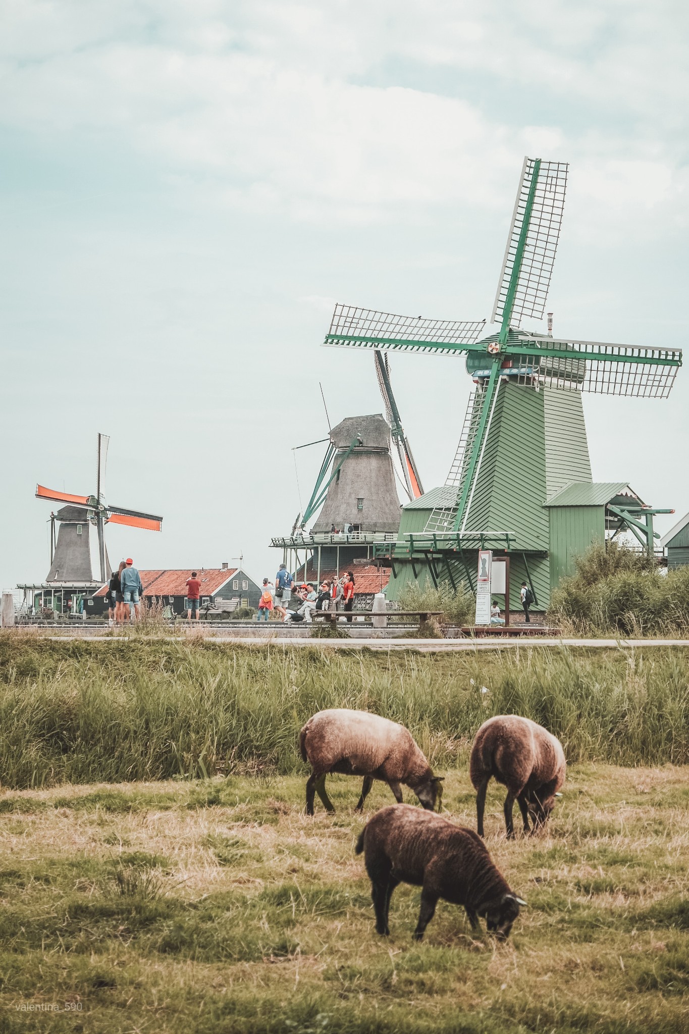 荷兰怎么玩？3/5/7日行程安排请收好