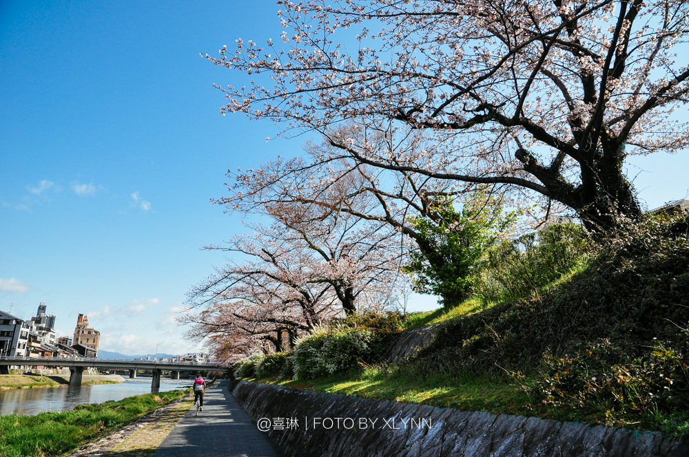 京都自助遊攻略