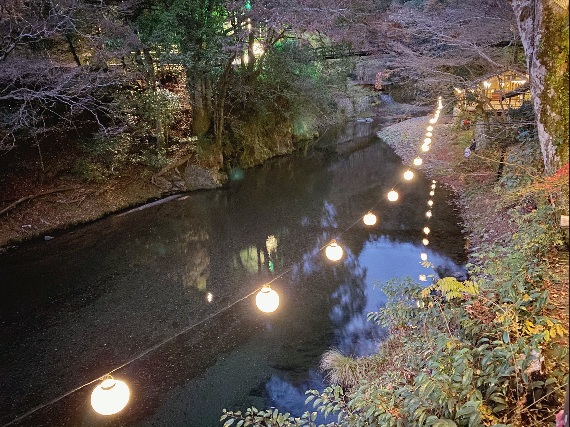 京都自助遊攻略