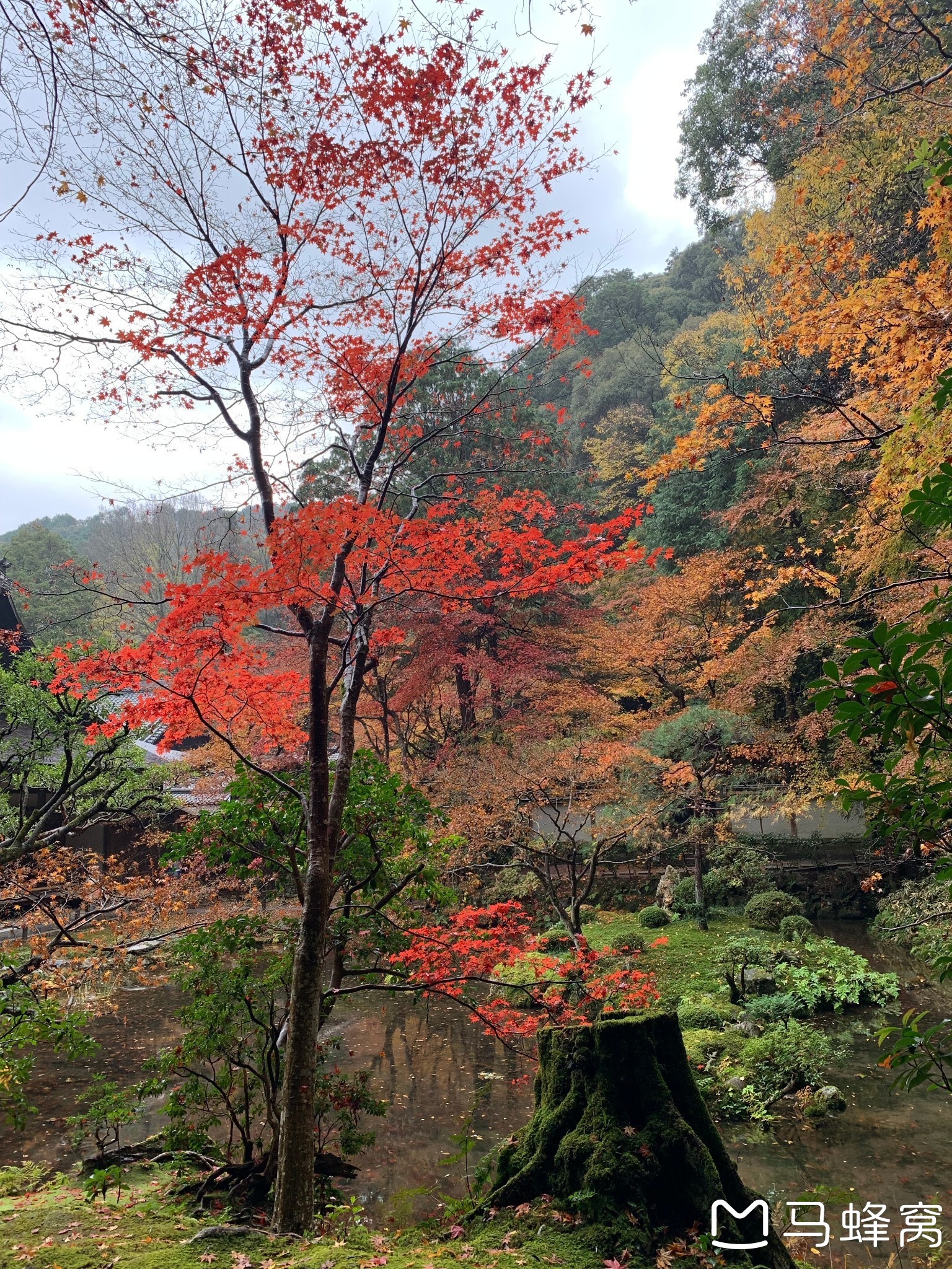 京都自助遊攻略