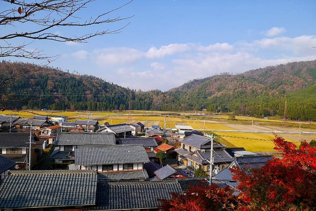 京都自助遊攻略