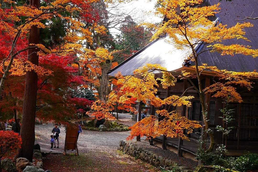 京都自助遊攻略