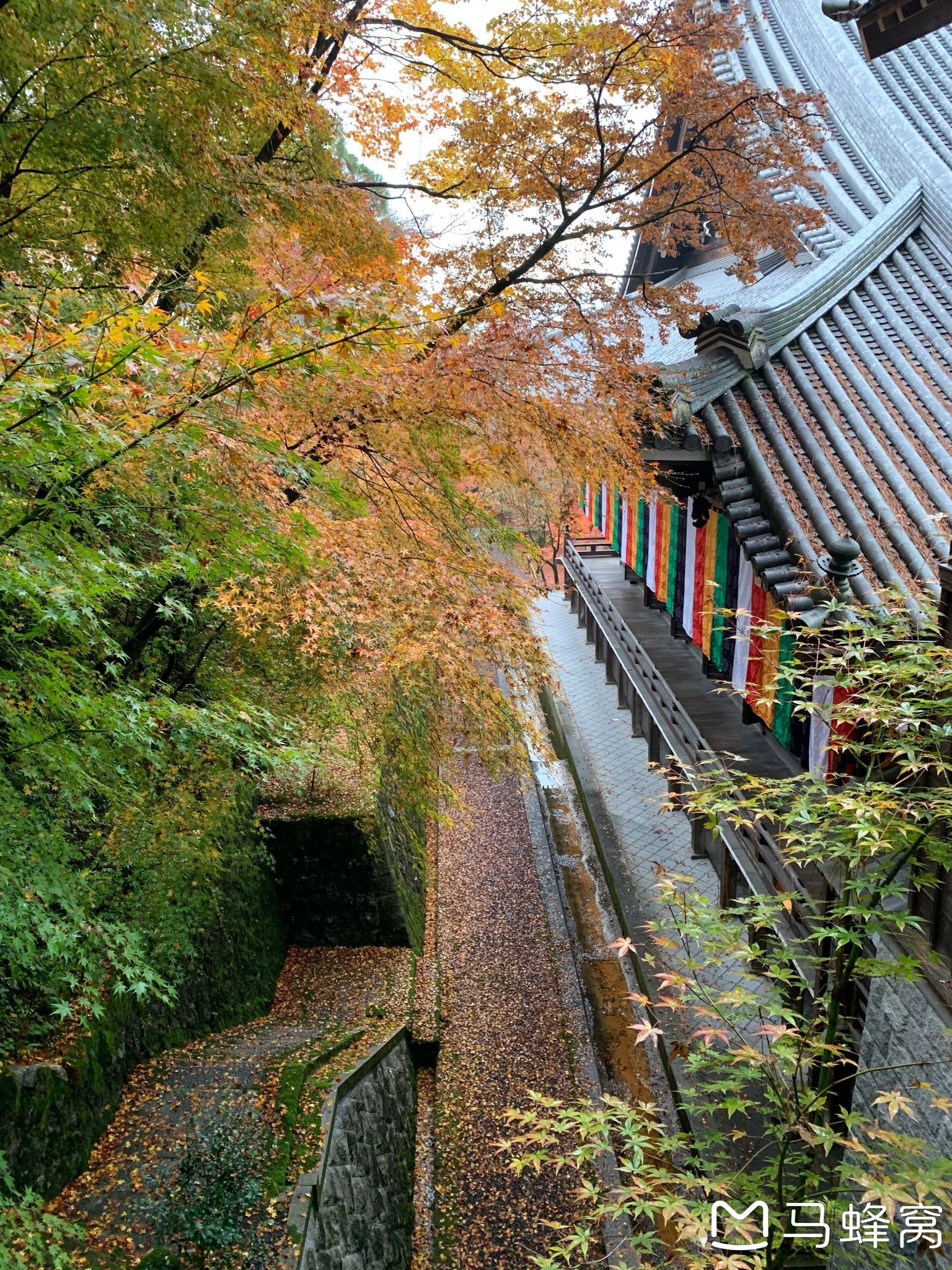 京都自助遊攻略