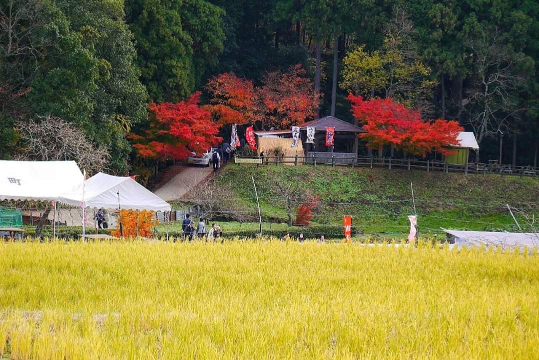 京都自助遊攻略