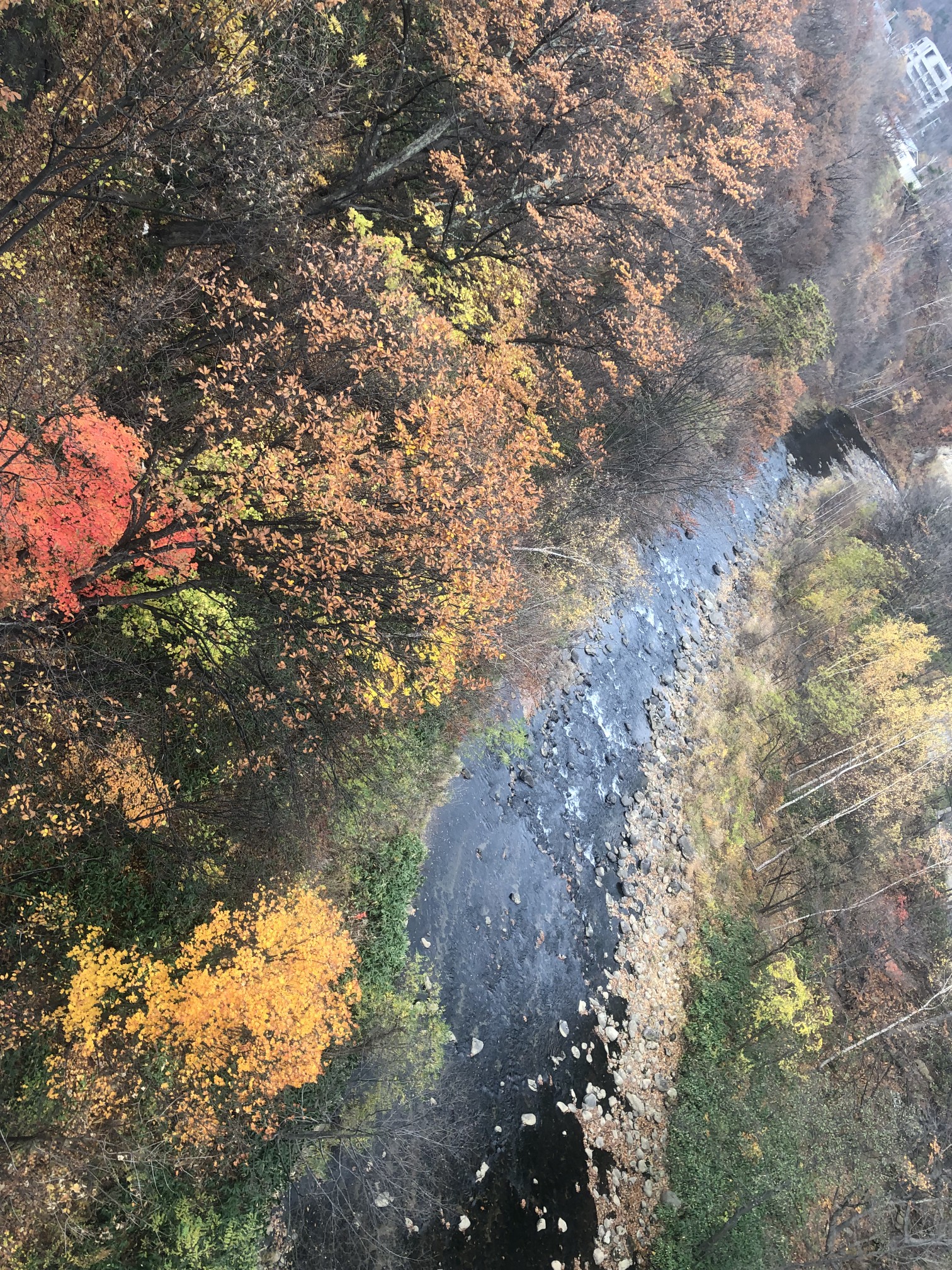 北海道自助遊攻略