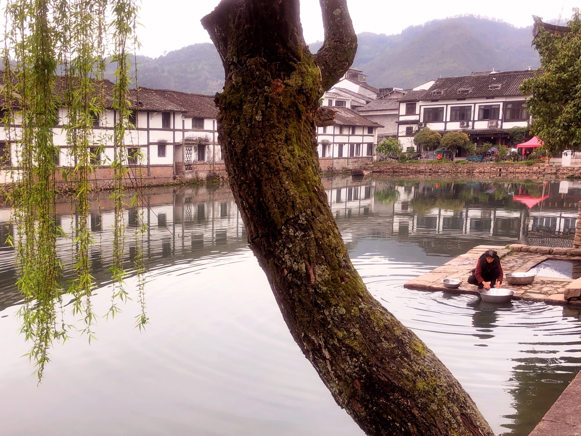 《清明饮马浙水间——溪门苍坡又一村》