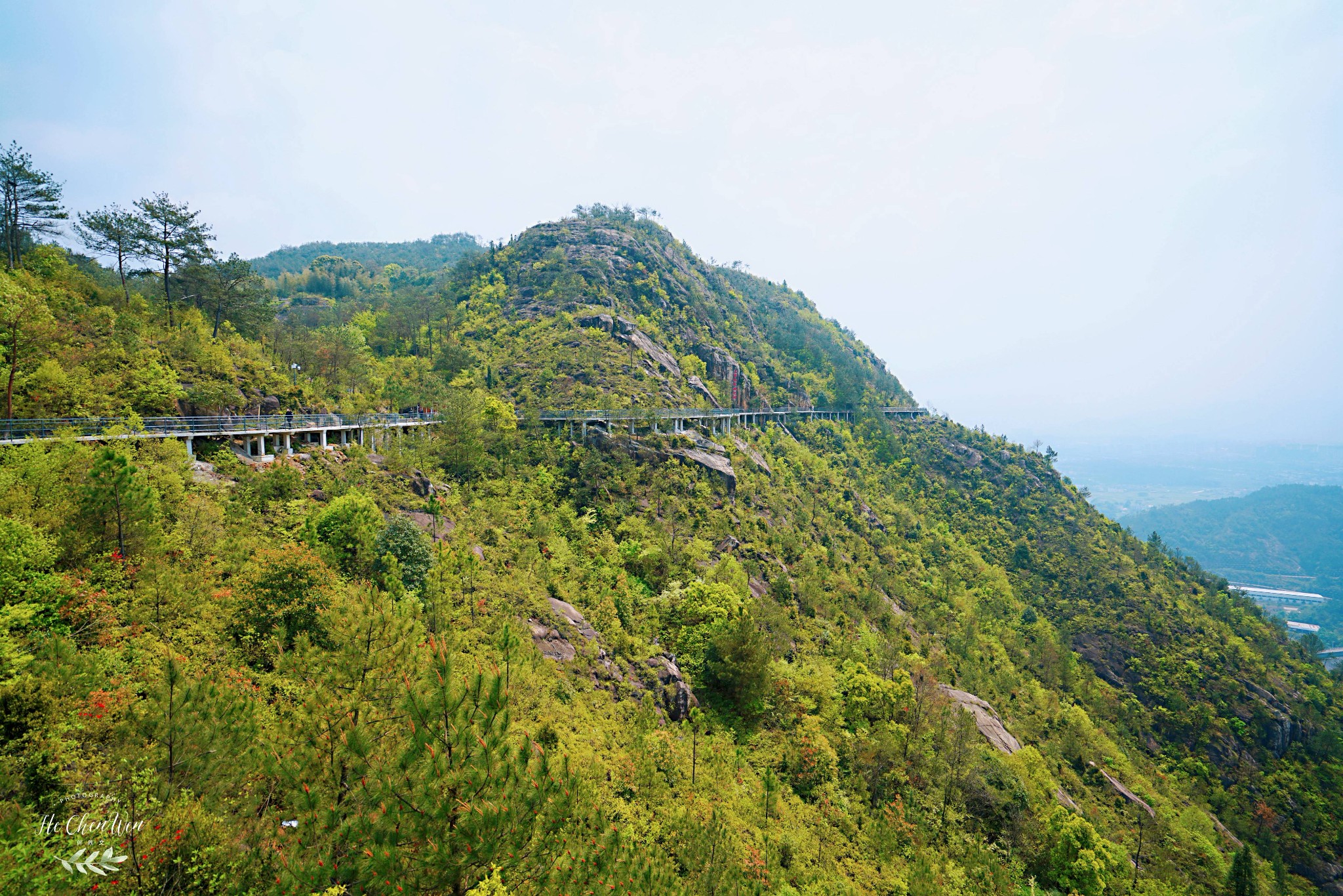 天台杨家山图片