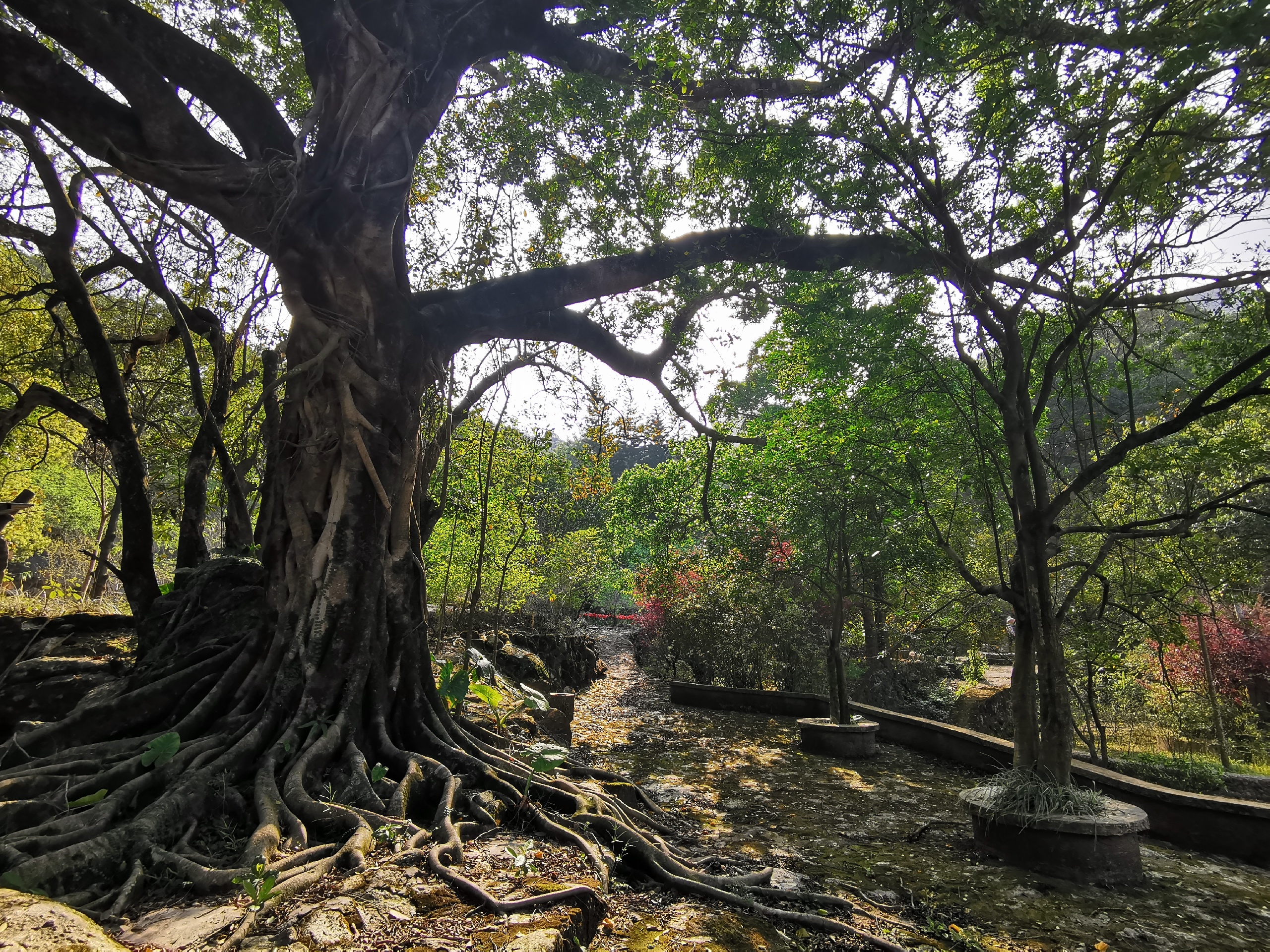 揭西县龙山绿谷攻略,龙山绿谷门票_地址,龙山绿谷游览攻略 - 马蜂窝