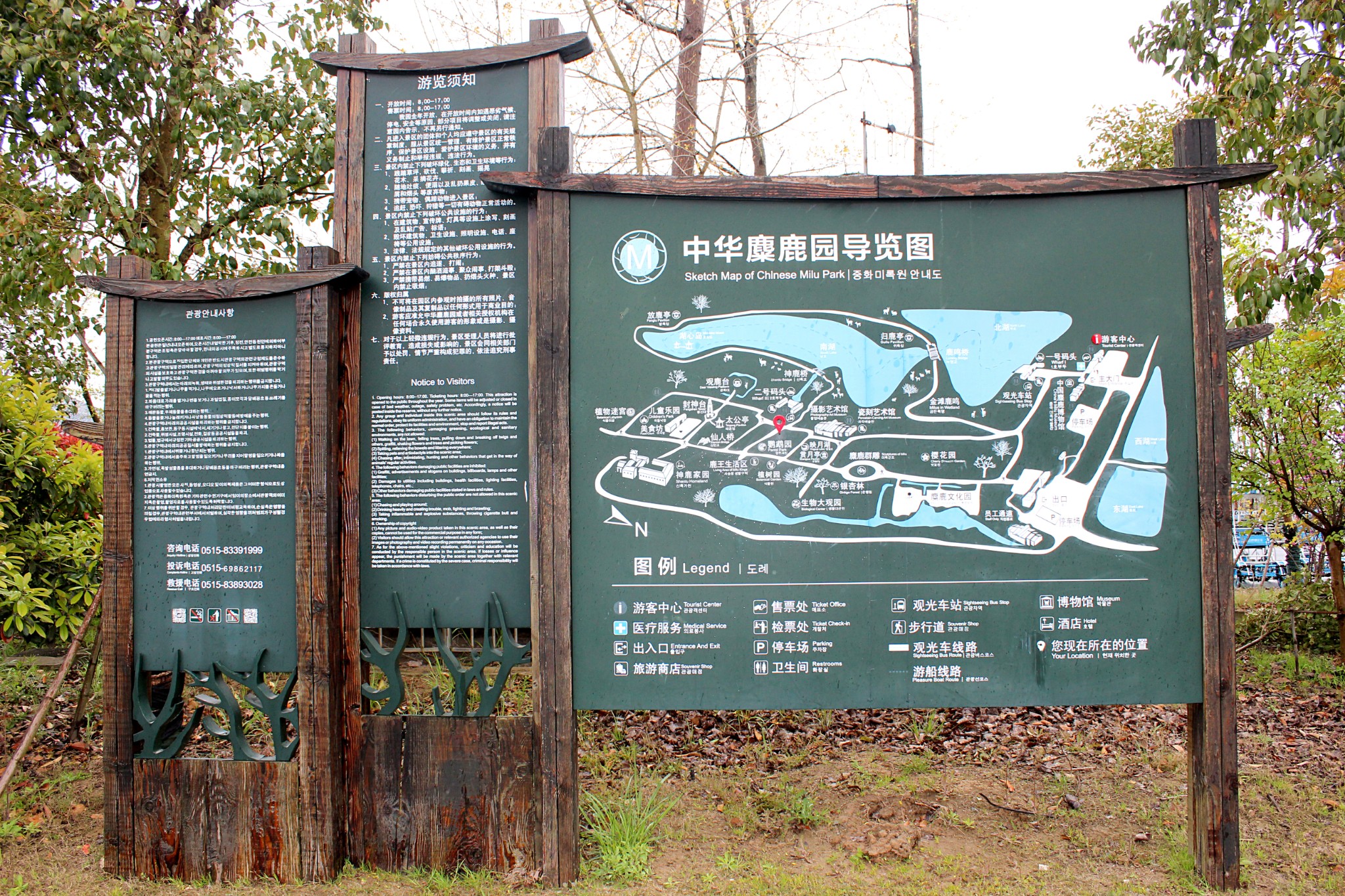 走进《中华麋鹿园》,大丰旅游攻略 - 马蜂窝