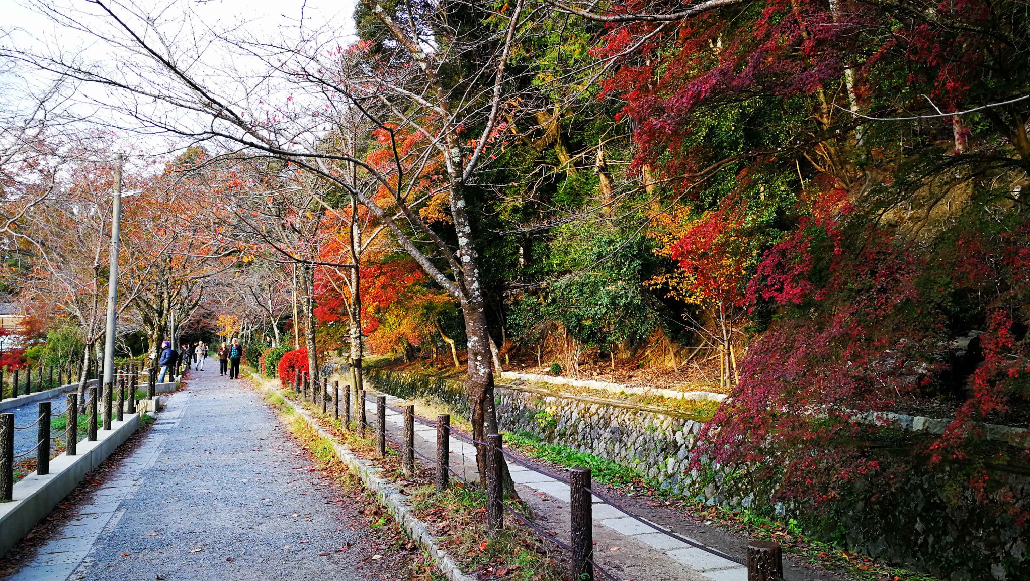 京都自助遊攻略