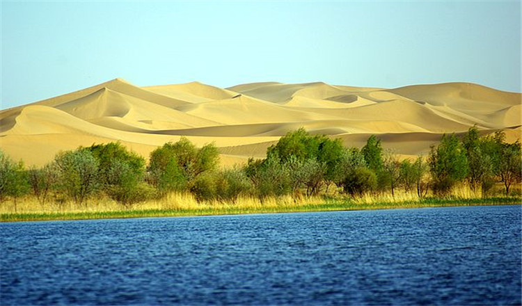 包头库布其沙漠一日游包头出发含一正餐沙漠小火车乘骆驼滑沙沙滩飞船