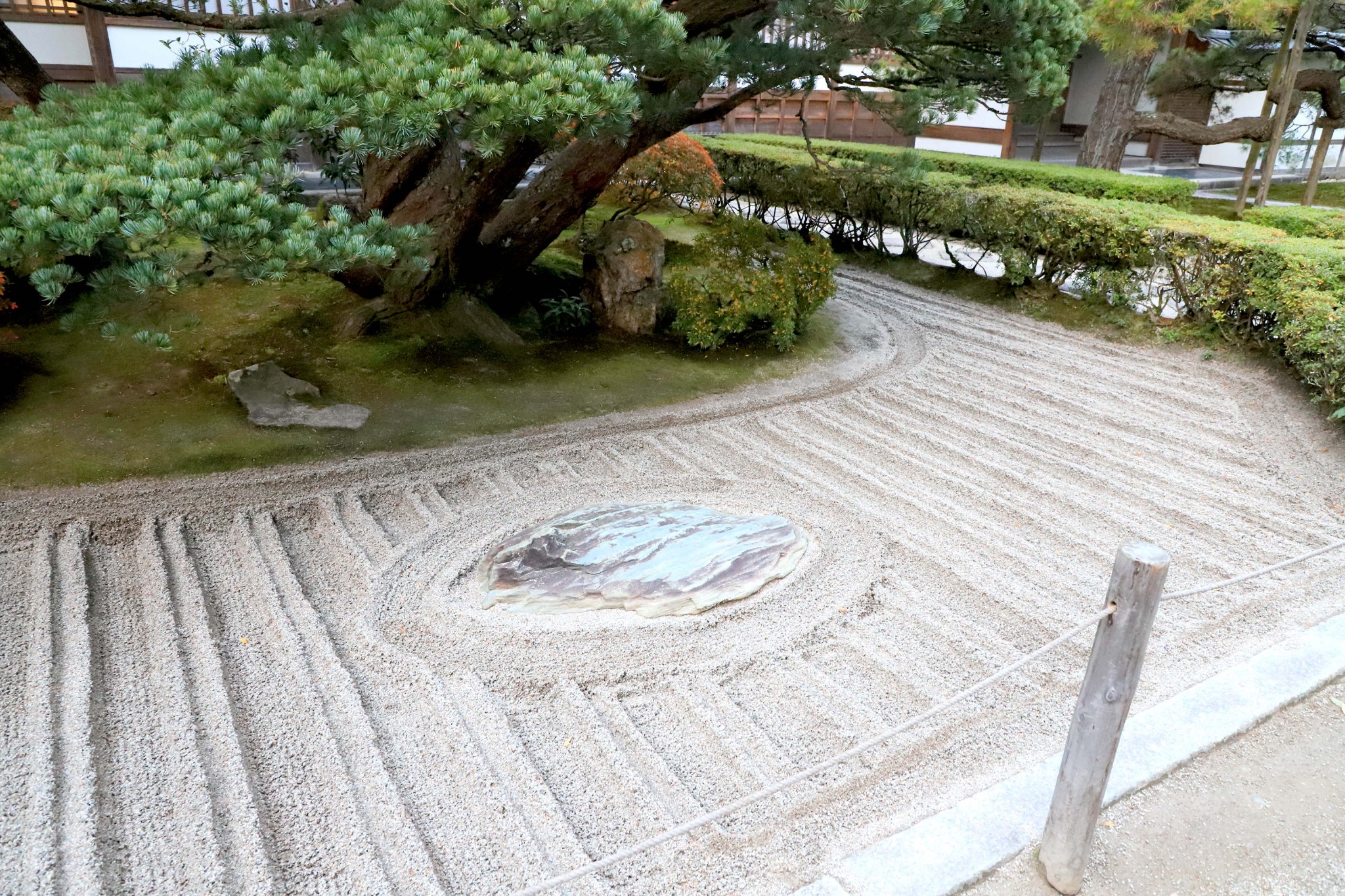 京都自助遊攻略