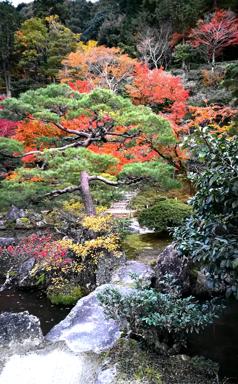 京都自助遊攻略