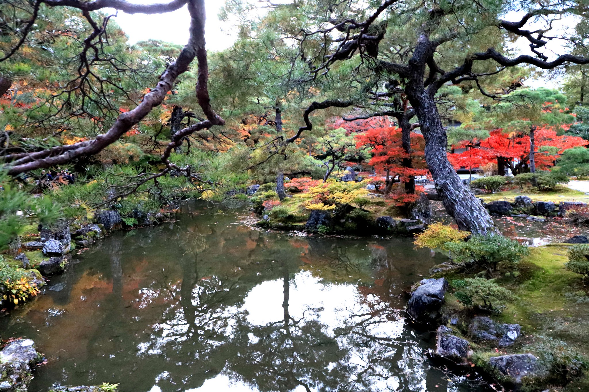 京都自助遊攻略