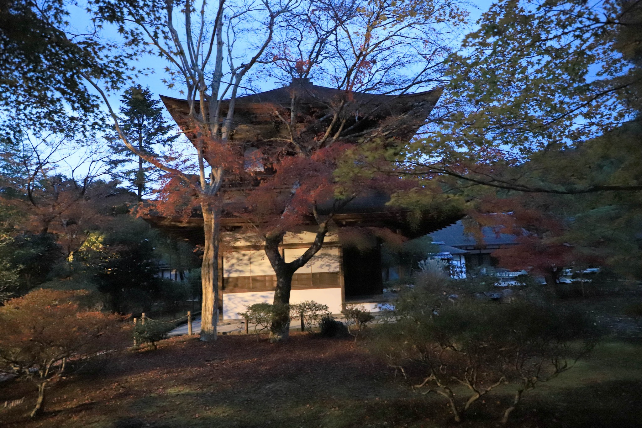 京都自助遊攻略