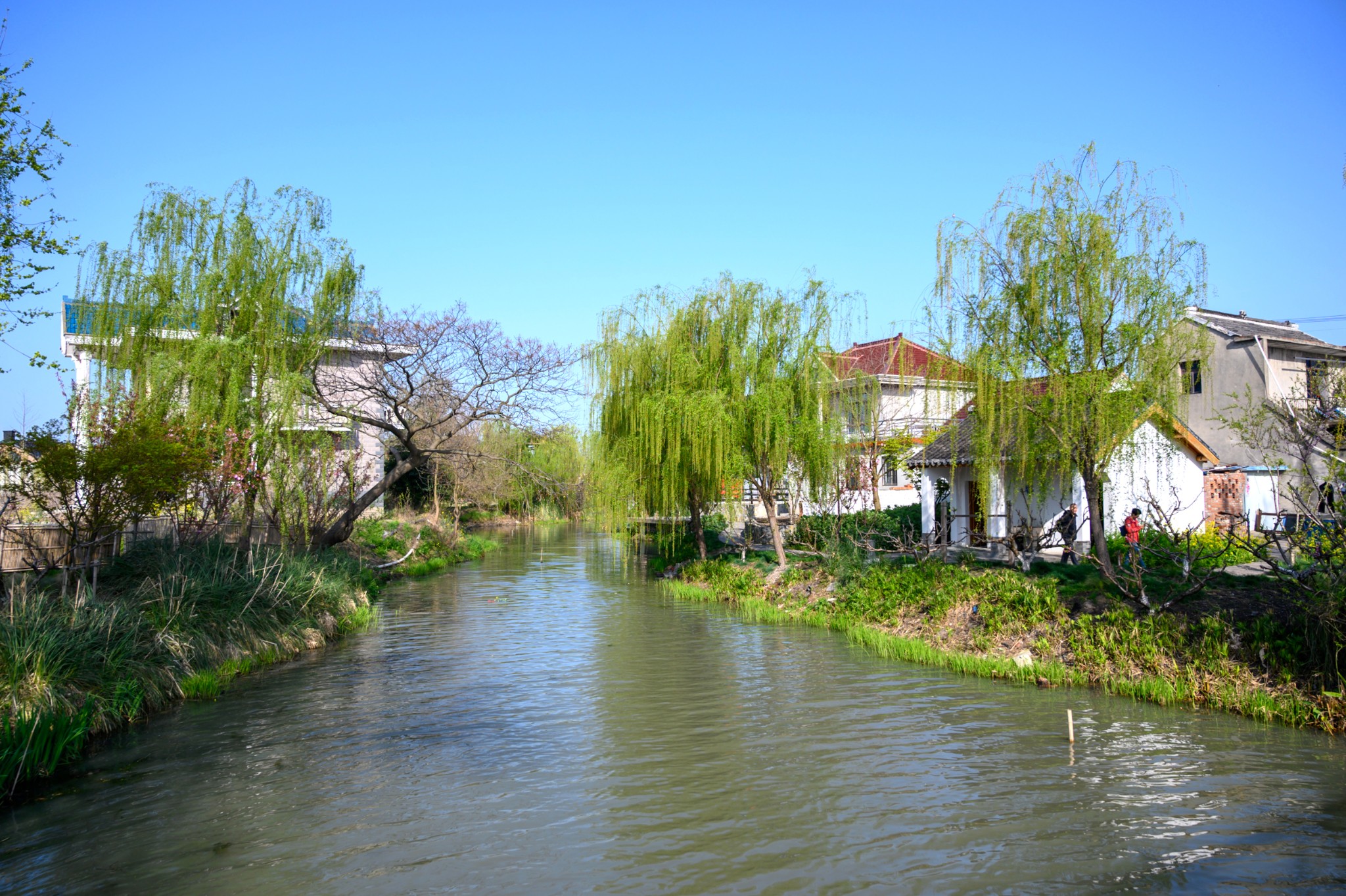 興化旅遊景點全攻略,解鎖這座