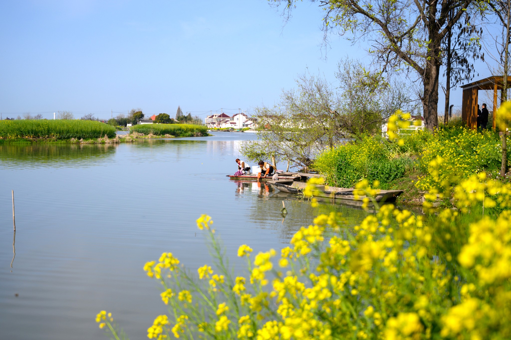 兴化旅游景点全攻略,解锁这座"千岛之国"