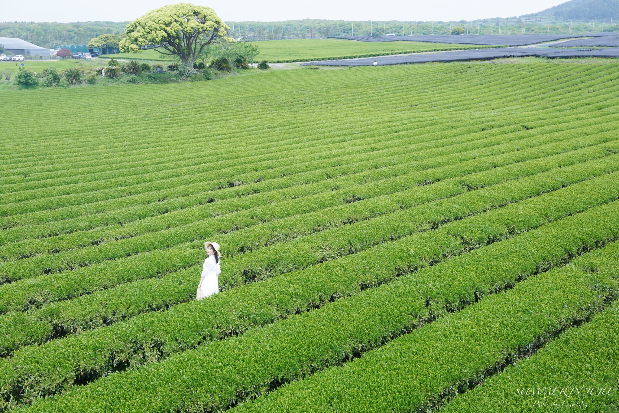 濟州島自助遊攻略