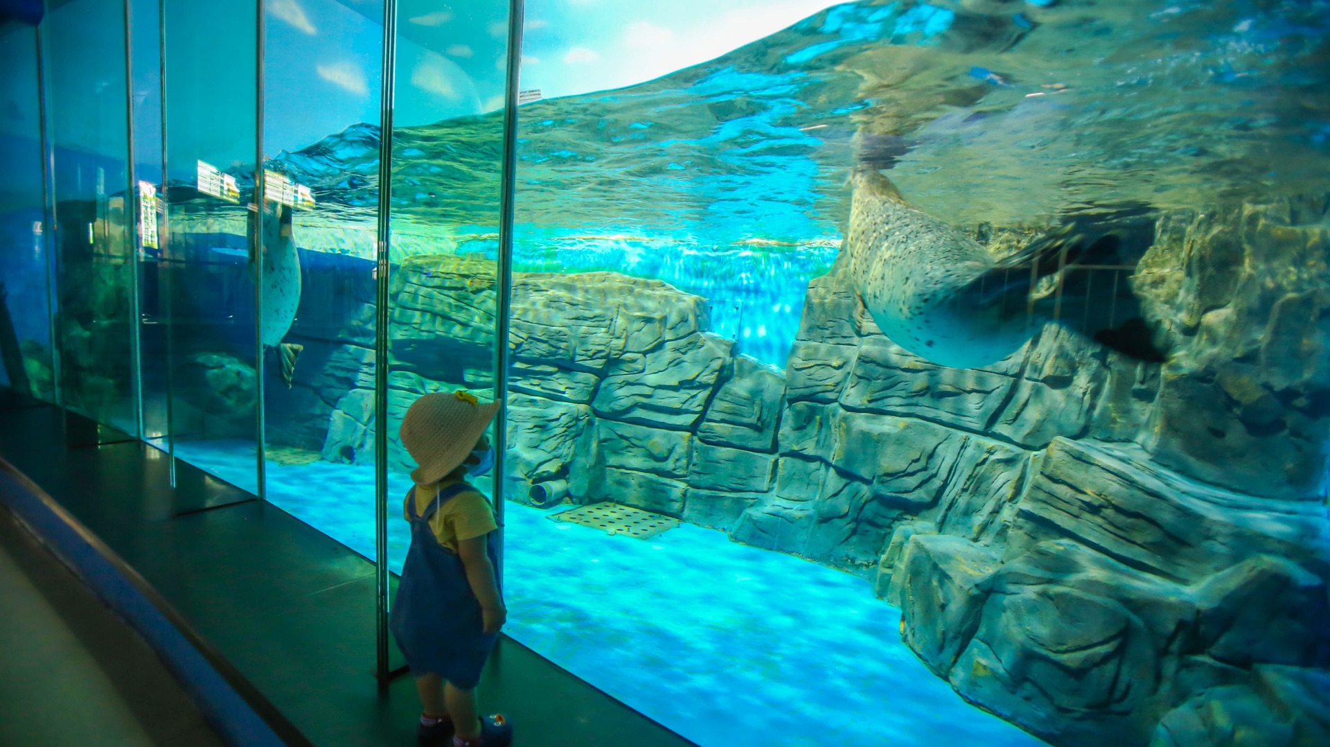 大连老虎滩海洋公园-珊瑚馆