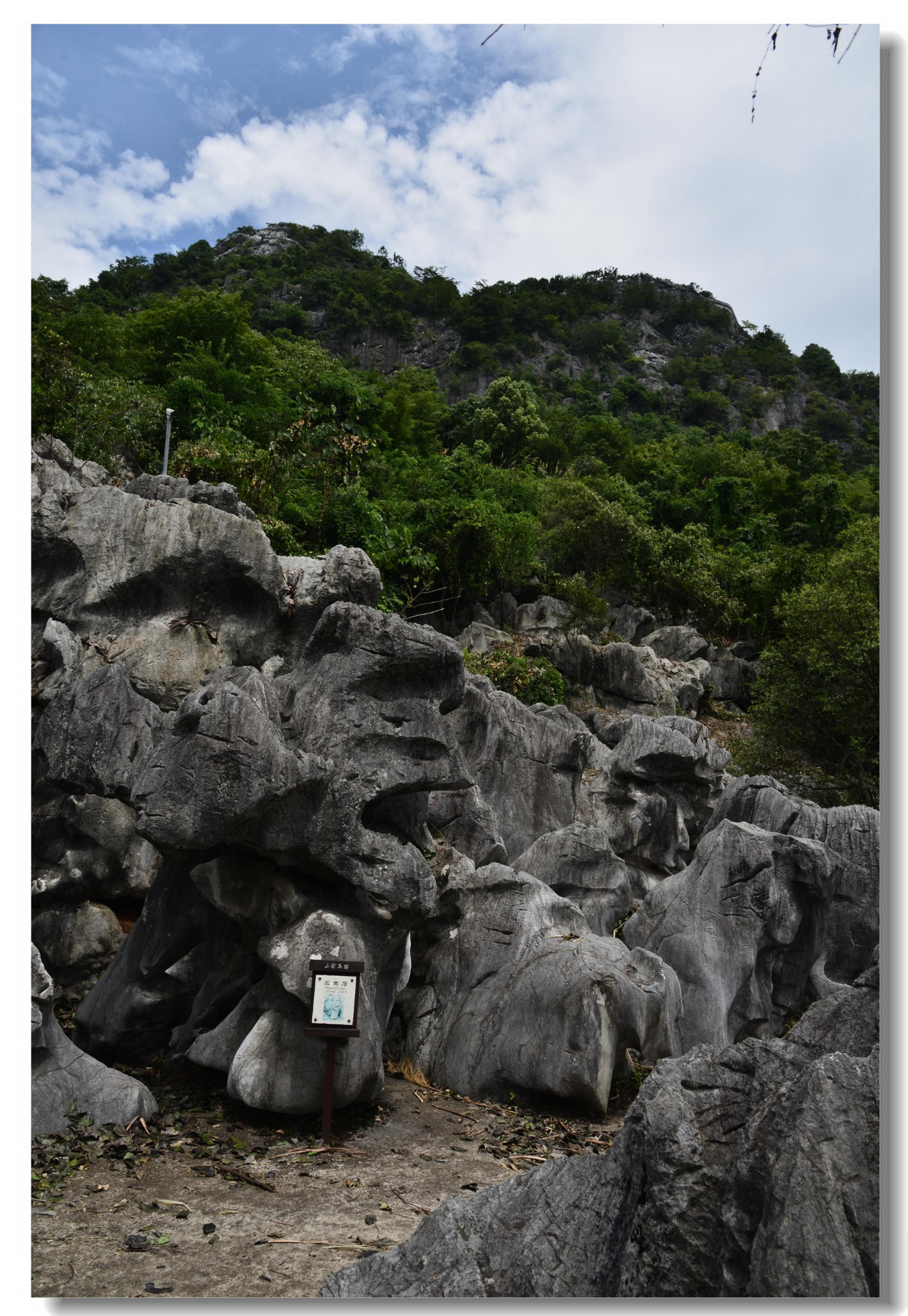 浙江 衢州 常山 三衢石林景區