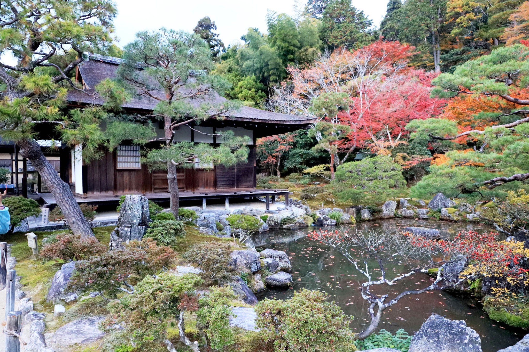 京都自助遊攻略