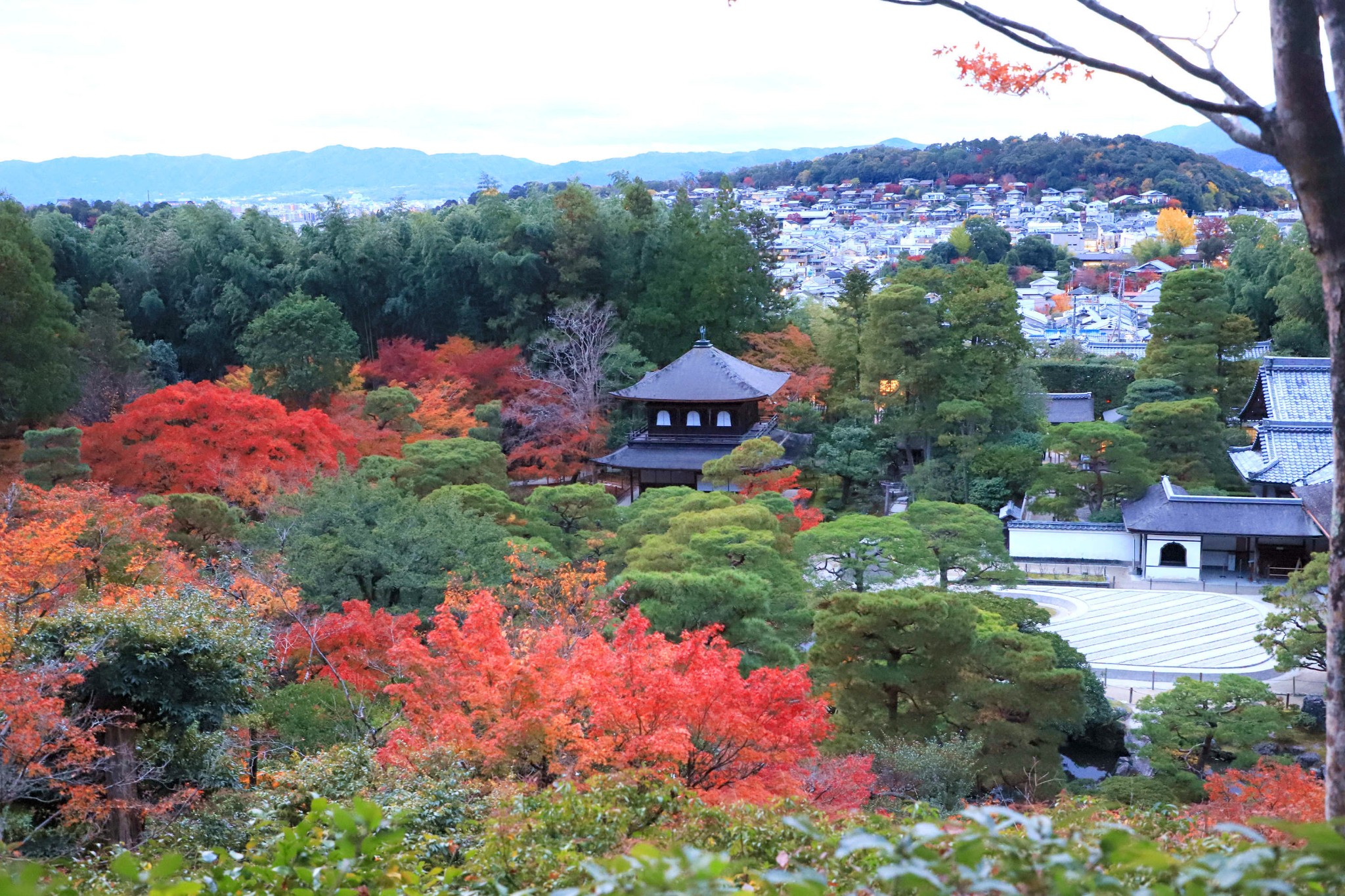 京都自助遊攻略