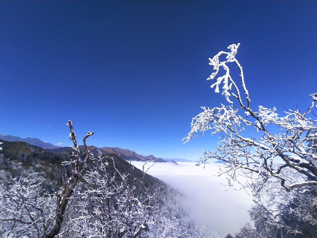 自驾游西岭雪山_游记