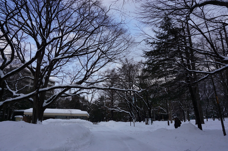 札幌自助遊攻略