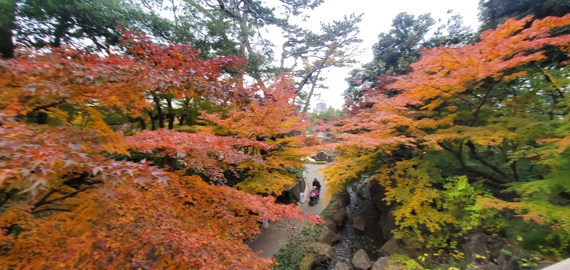 名古屋德川园图片