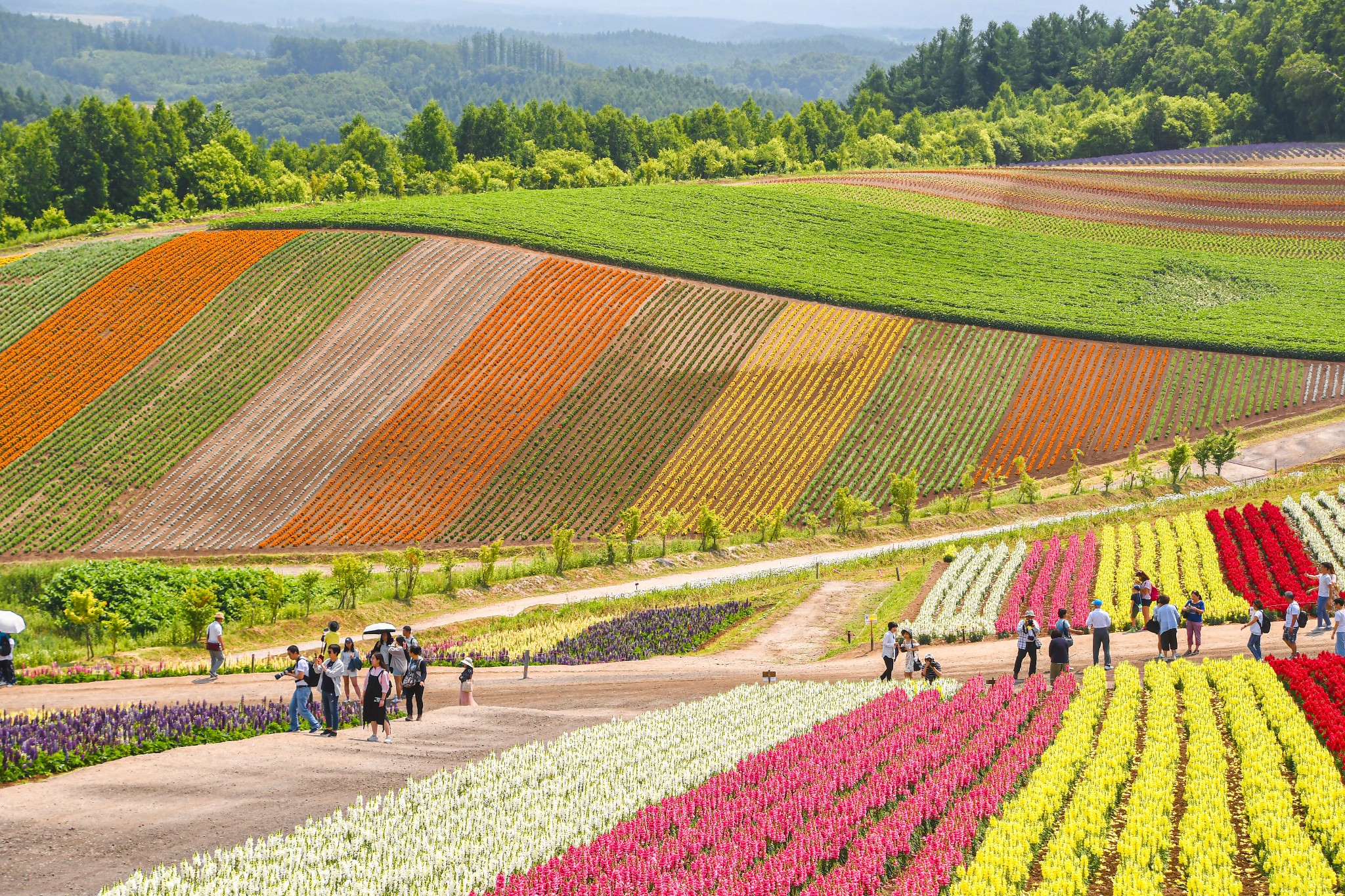 北海道自助遊攻略