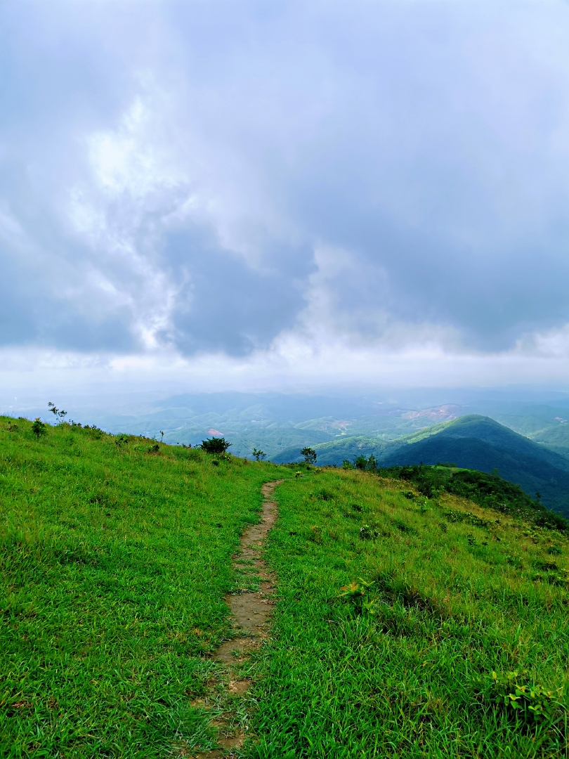 2020年6月,被烈日,风雨肆虐的恩平牛塘山,石头村之行