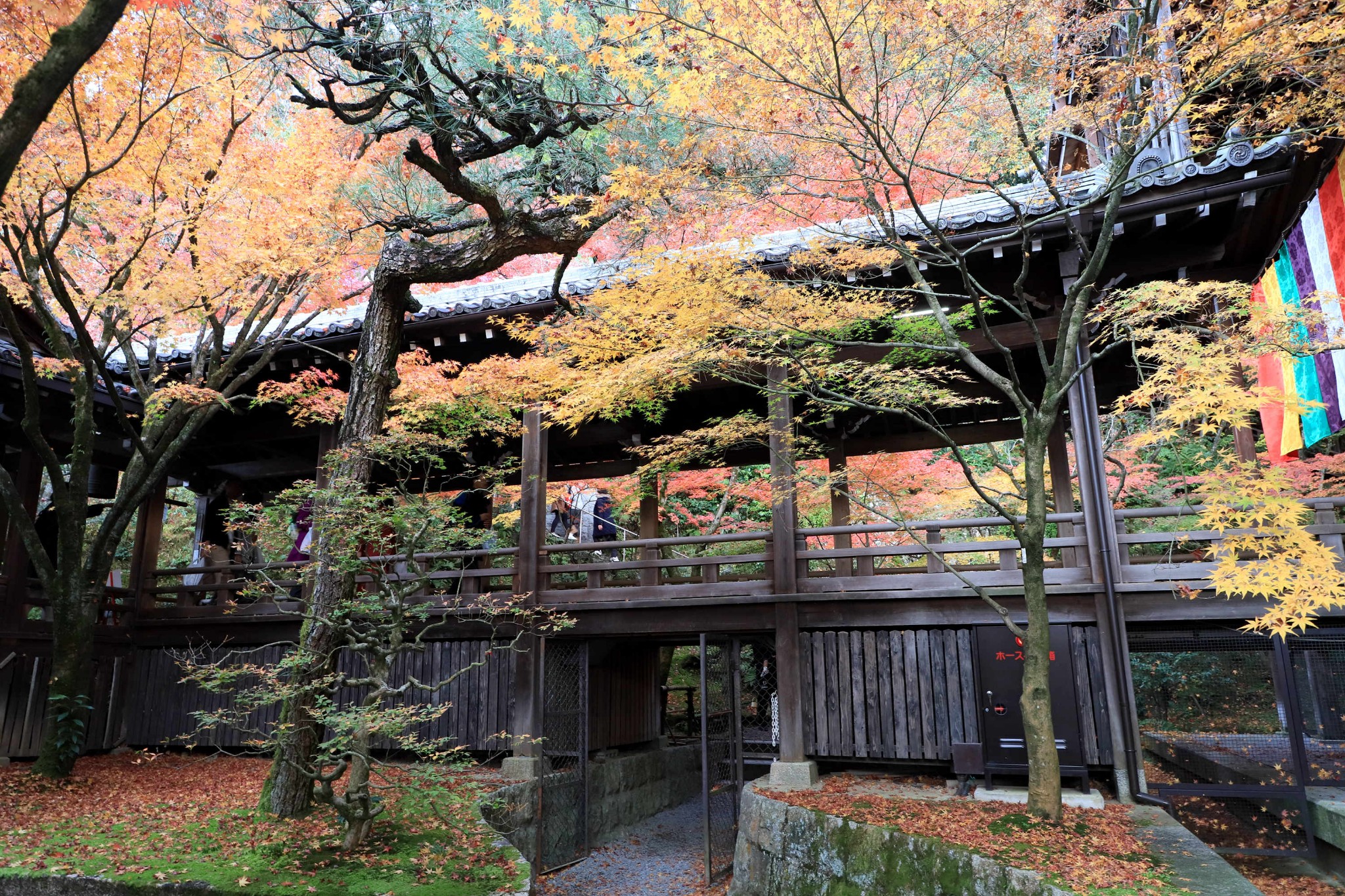 京都自助遊攻略