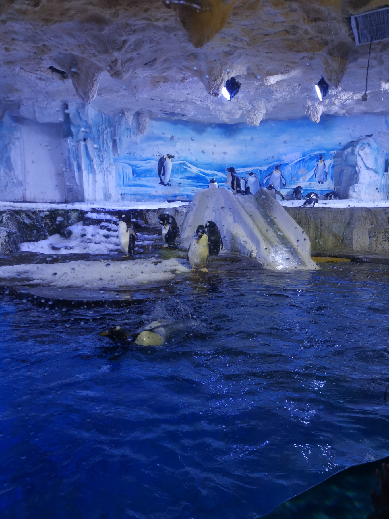 青岛海昌极地海洋公园