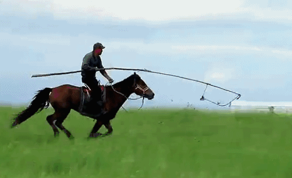 呼伦贝尔大草原呼伦贝尔大草原呼伦贝尔大草原攻略