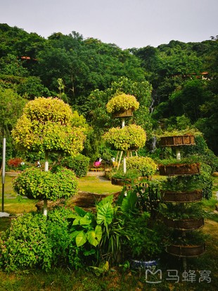 瓜果公园旅游图片,瓜果公园自助游图片,瓜果公园旅游景点照片 - 马