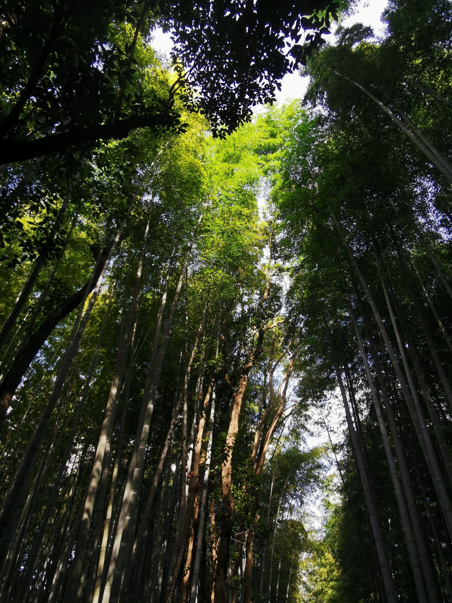 大阪自助遊攻略