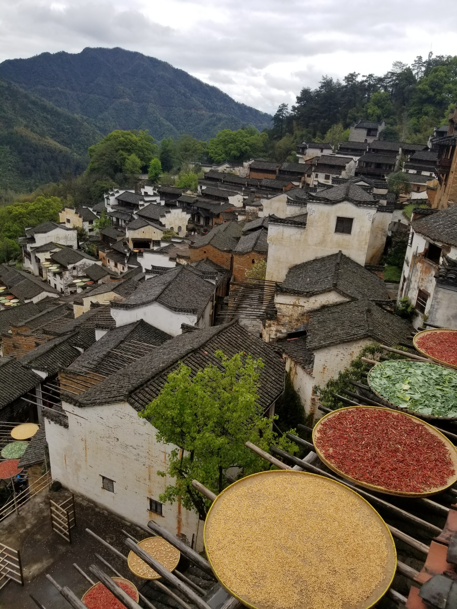 江西龍虎山和婺源鄉村,旅遊攻略 - 馬蜂窩