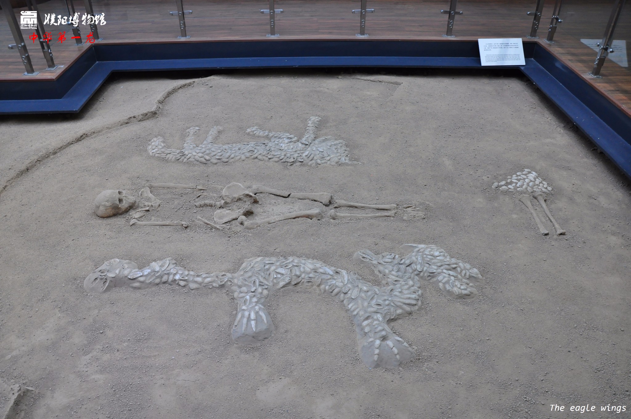 濮阳旅游图片,濮阳自助游图片,濮阳旅游景点照片 - 马蜂窝图库 - 马蜂