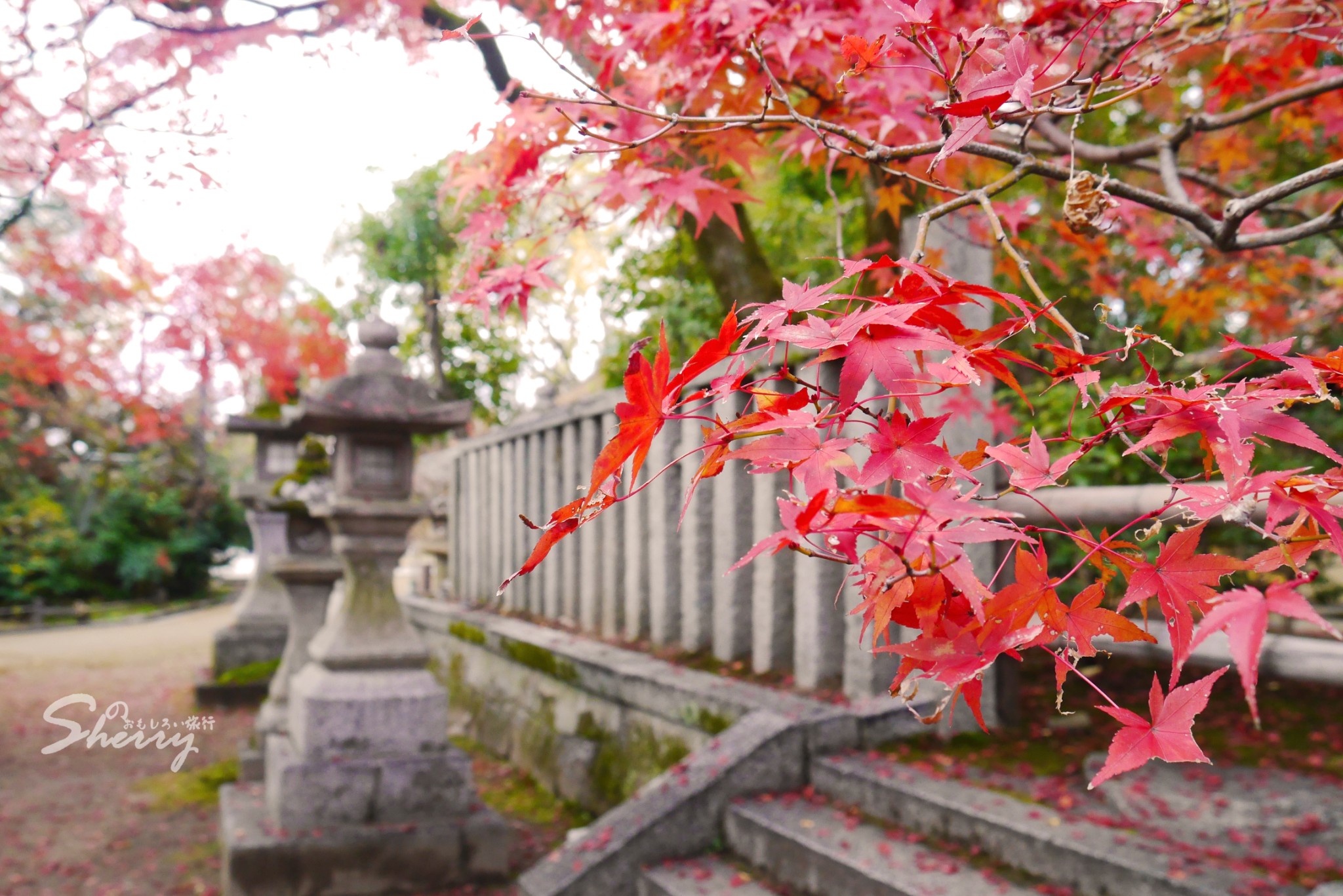 京都自助遊攻略