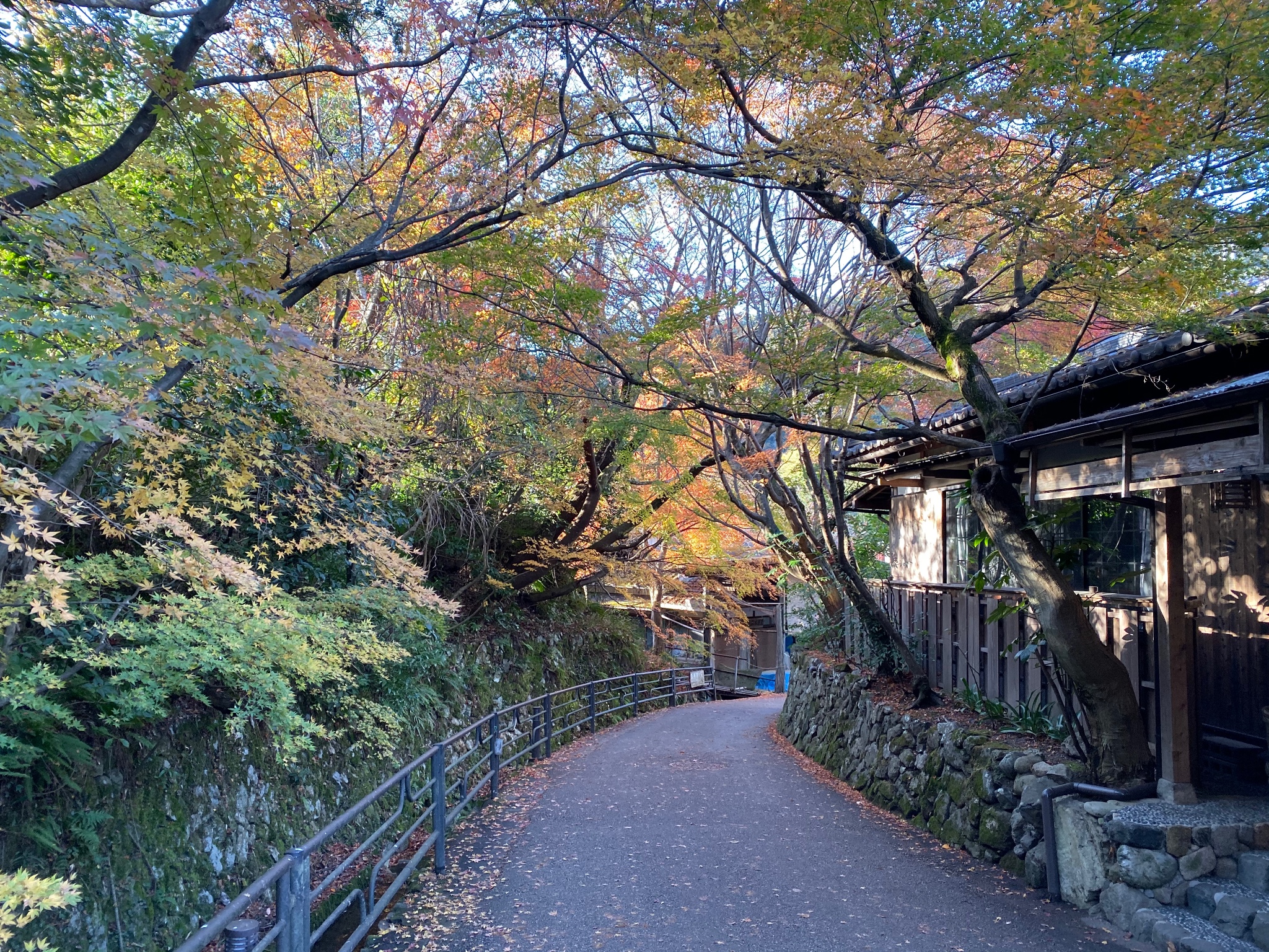 京都自助遊攻略