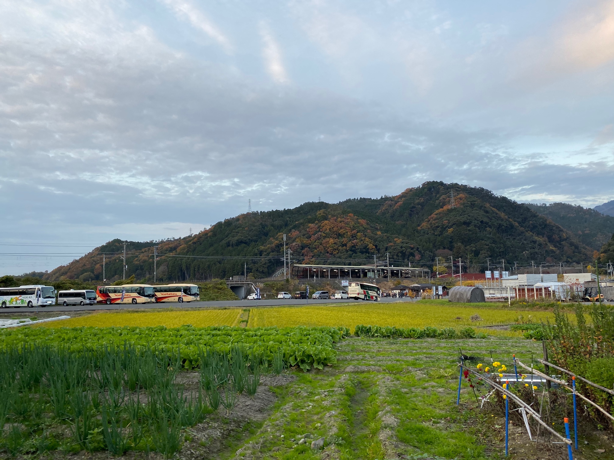 京都自助遊攻略