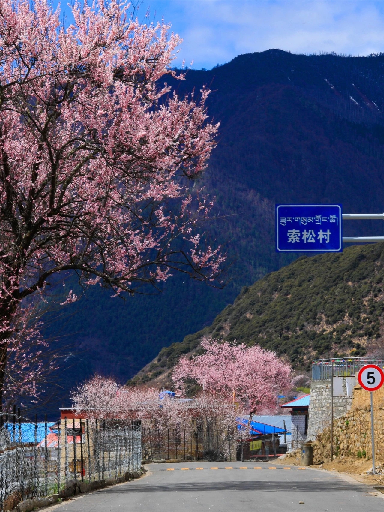 《西藏旅游线路》林芝归来不看花 一路桃花相伴 林芝桃花节《西藏