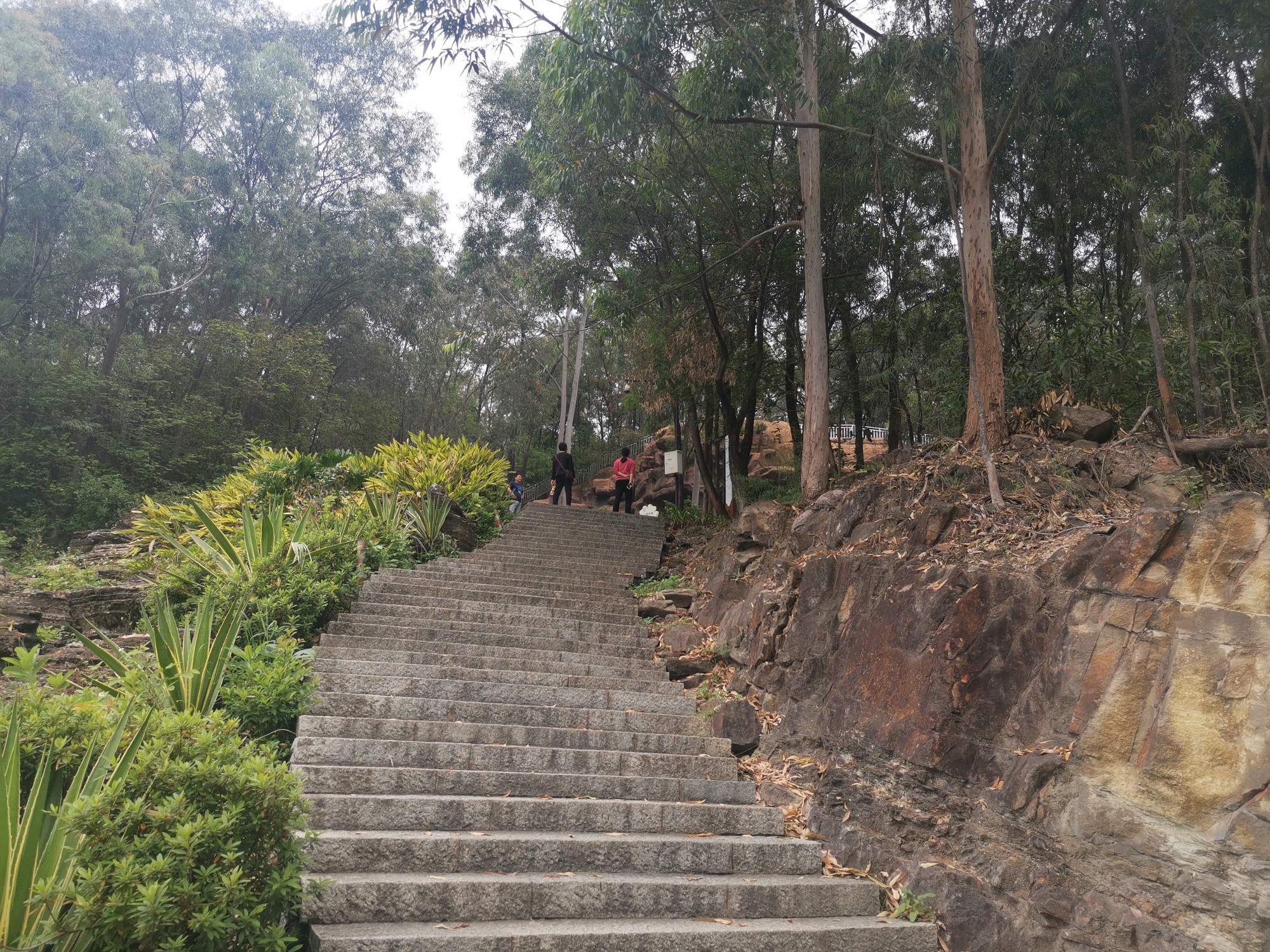 寮步鎮是東莞轄下的一個鎮,好玩的景點有香市公園,佛靈湖郊野公園,香