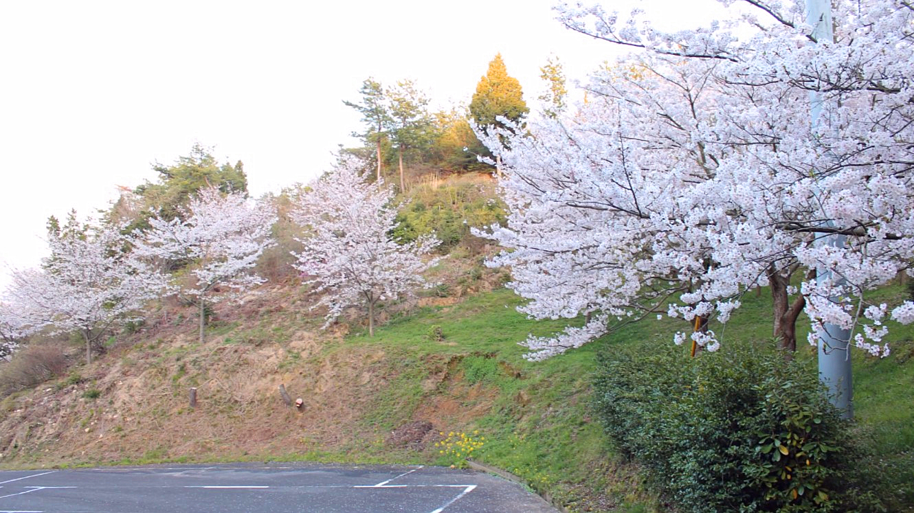 开山公园攻略 开山公园门票 地址 开山公园景点攻略 马蜂窝