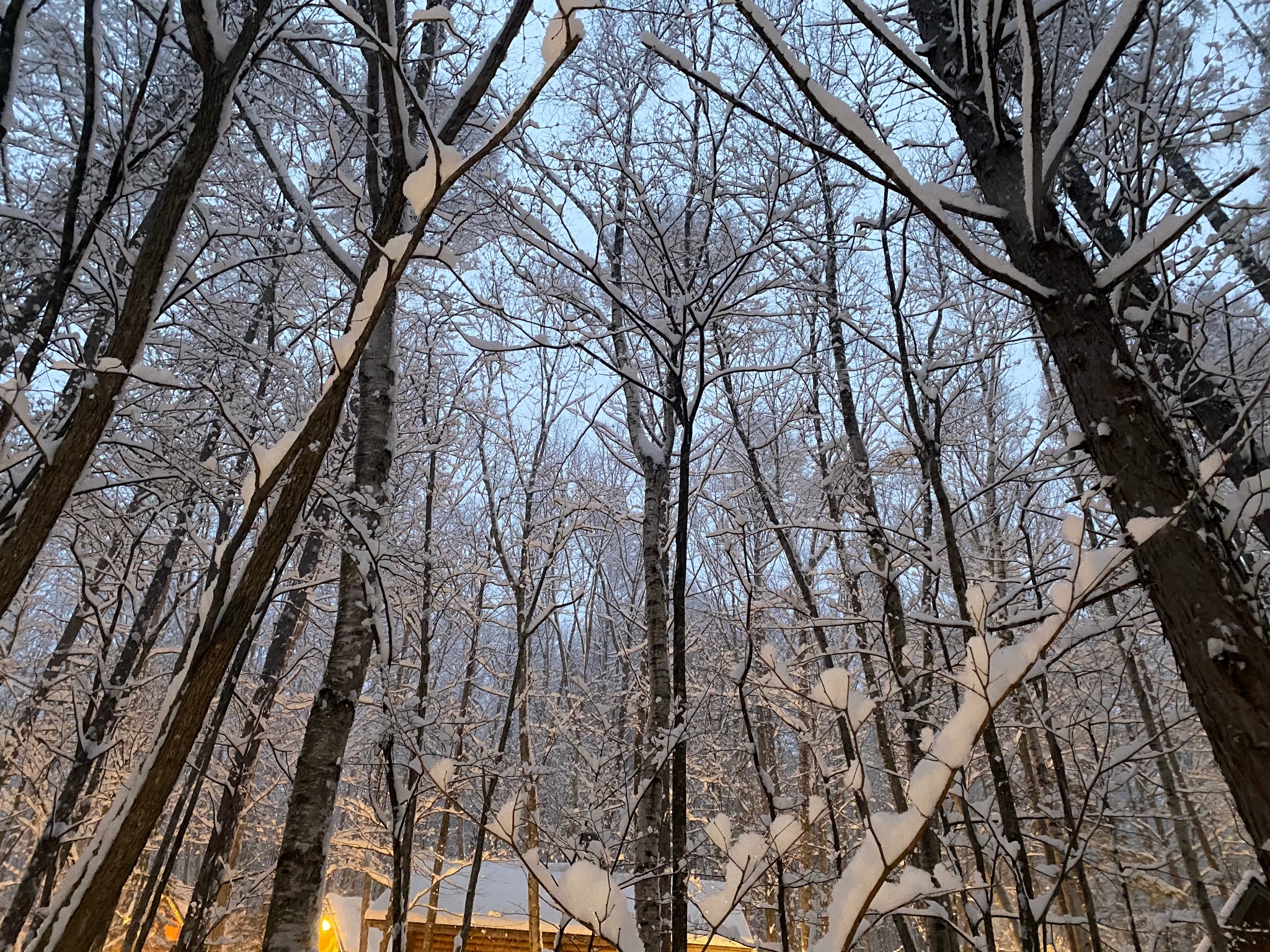 北海道自助遊攻略