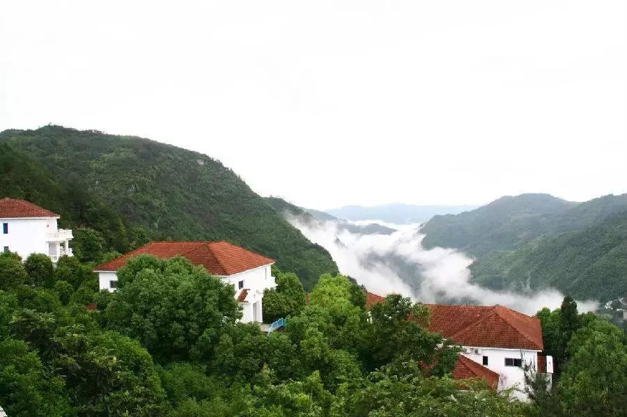 泰顺雅阳大峡谷图片