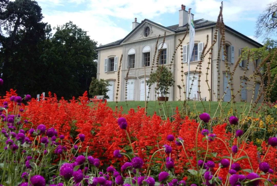 日内瓦植物园 | 迷失在国际之都的花花世界