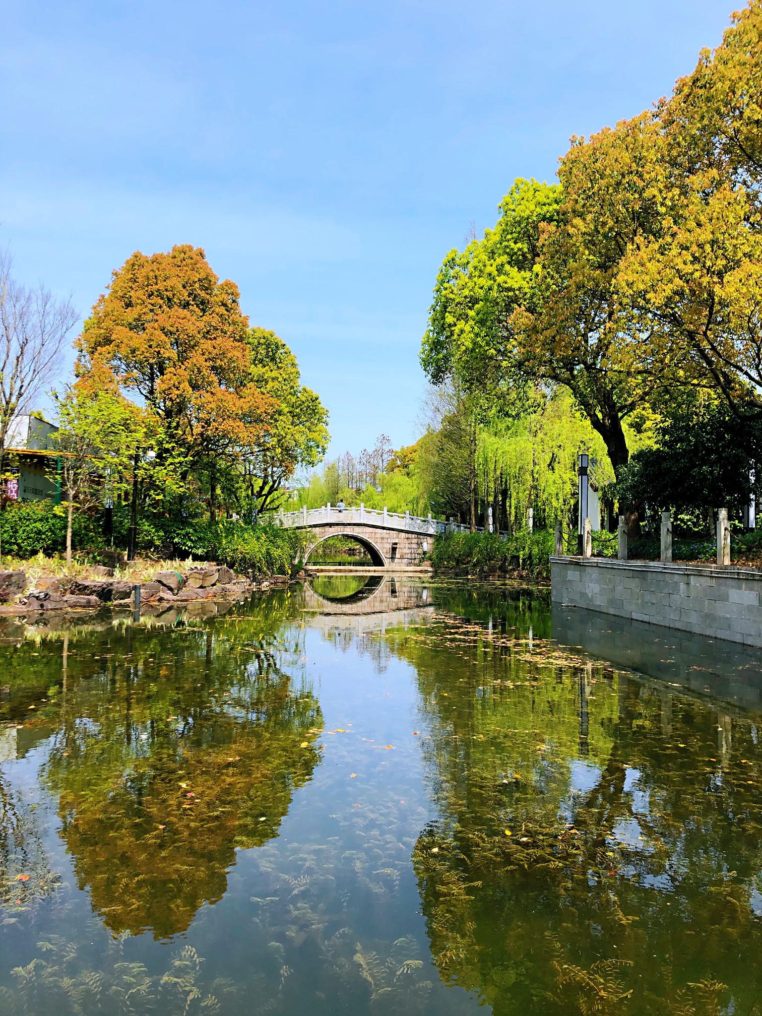 漫步上海 · 奉賢莊行,古華園,上海奉賢旅遊攻略 - 馬蜂窩