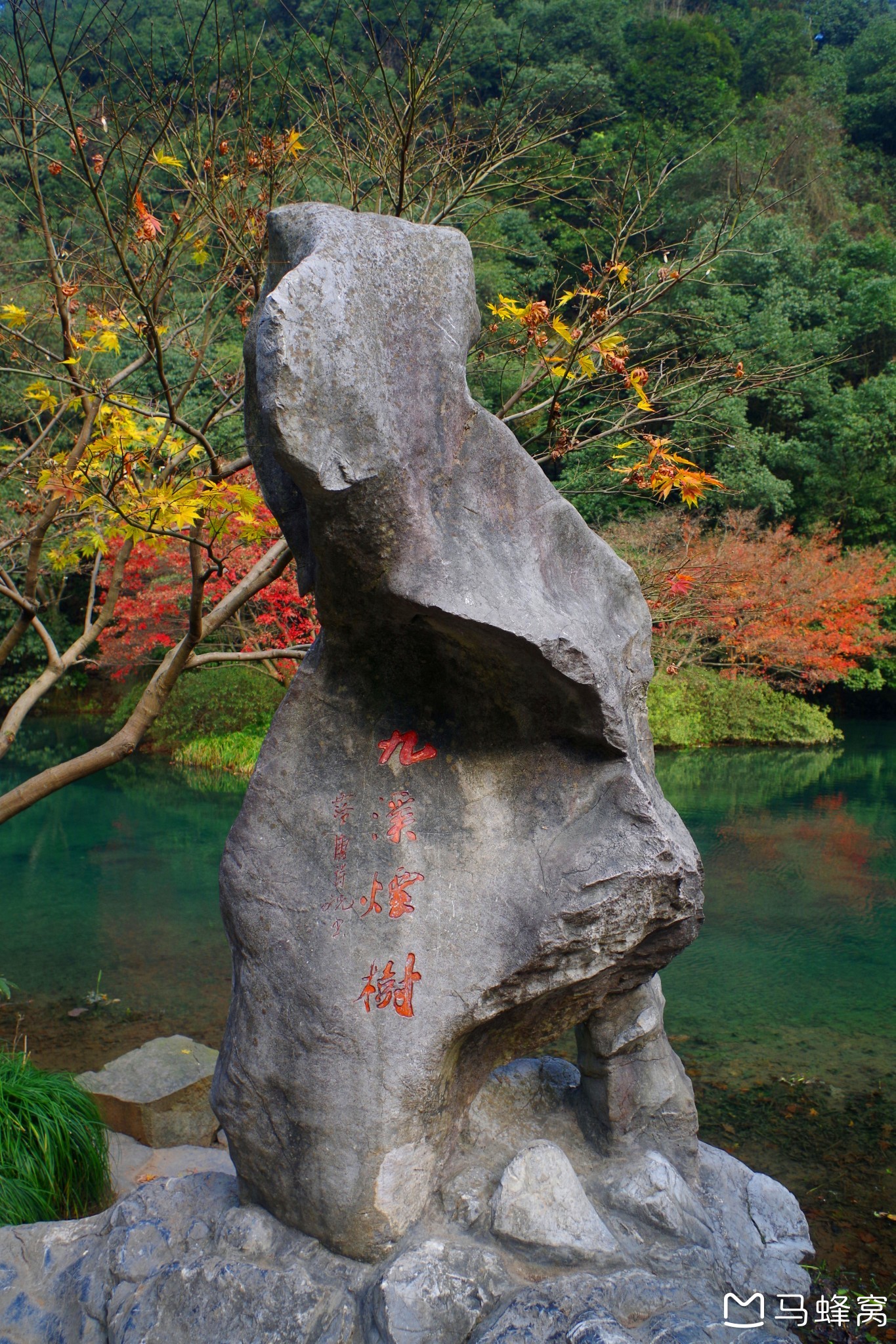 深秋慢遊,細品杭州城(一)楊梅嶺問茶,九溪煙樹賞楓